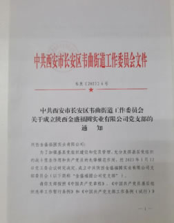两新党组织工作有序推进