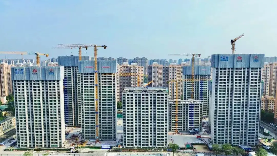 【喜报】陕西金盛福圆在全国建筑劳务管理知识竞赛中斩获三项大奖！(图7)