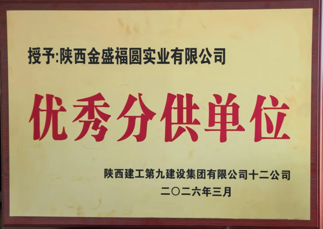 双誉加冕,匠心致远 | 金盛实业连获两项重磅荣誉(图4)
