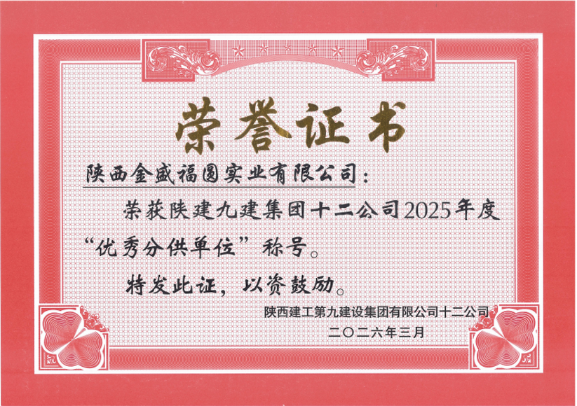 双誉加冕,匠心致远 | 金盛实业连获两项重磅荣誉(图5)